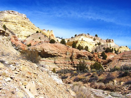 Enlarge photo 87
