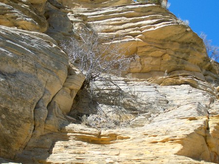 Enlarge photo 99