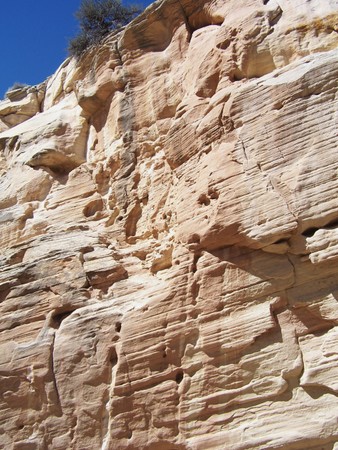 Enlarge photo 104