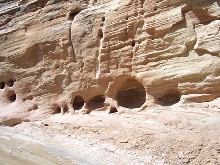 Enlarge photo 105