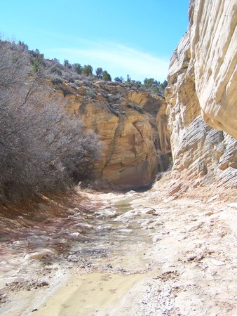 Enlarge photo 109