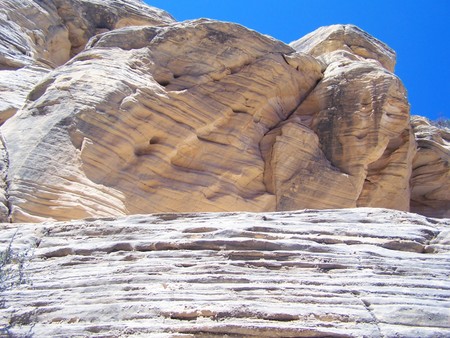 Enlarge photo 110