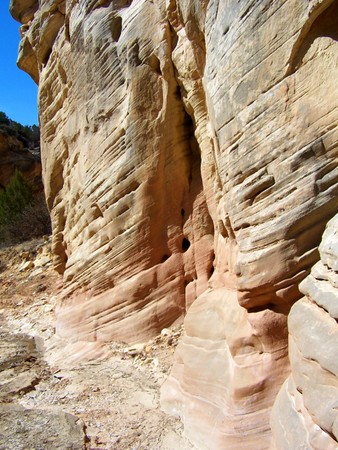 Enlarge photo 111