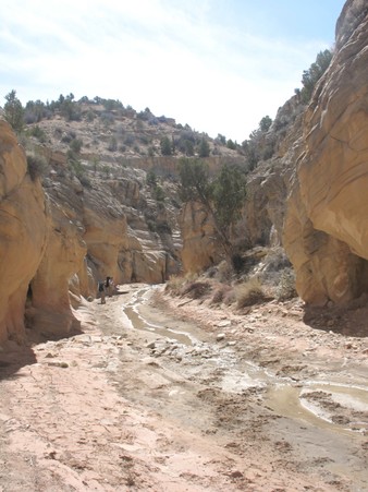 Enlarge photo 116