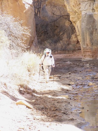 Enlarge photo 117