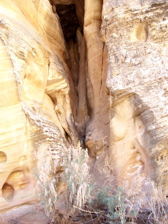 Enlarge photo 120