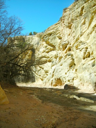 Enlarge photo 123