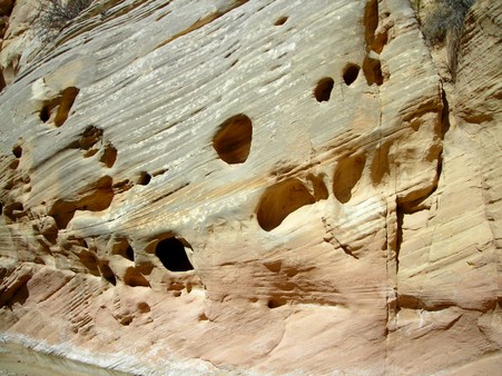 Enlarge photo 125