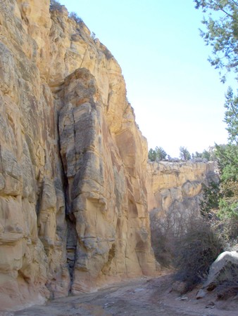 Enlarge photo 126