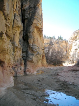Enlarge photo 127