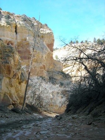 Enlarge photo 140