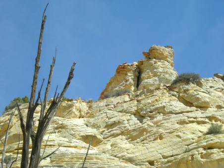 Enlarge photo 147