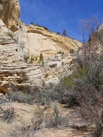 Enlarge photo 149