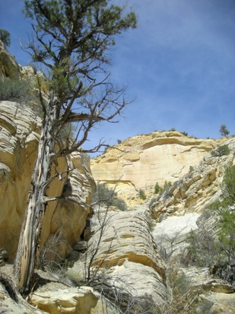 Enlarge photo 150