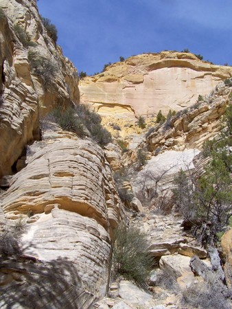 Enlarge photo 151