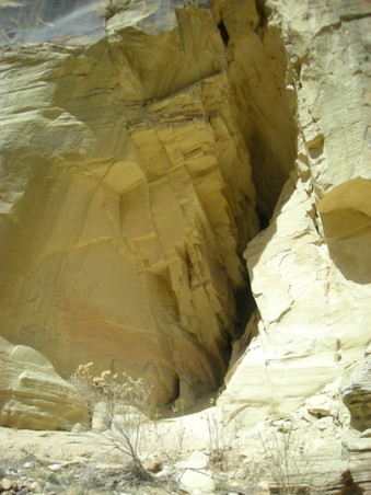 Enlarge photo 157