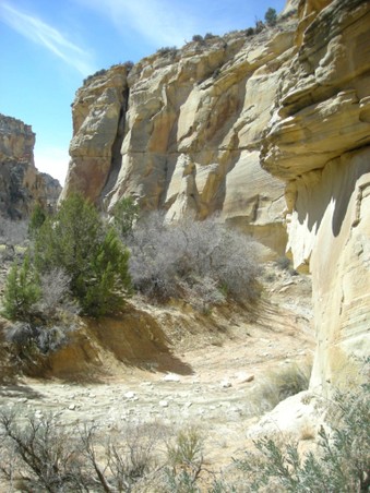 Enlarge photo 161