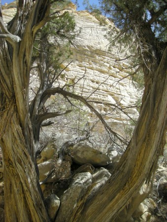 Enlarge photo 162