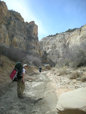 Enlarge photo 163