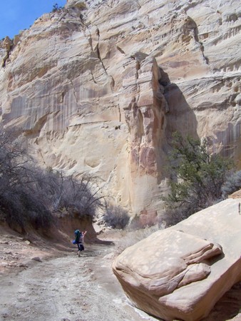 Enlarge photo 167