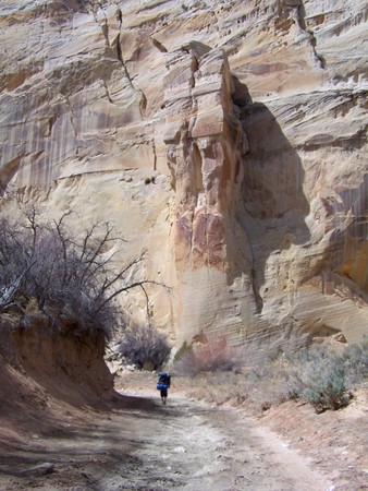Enlarge photo 168