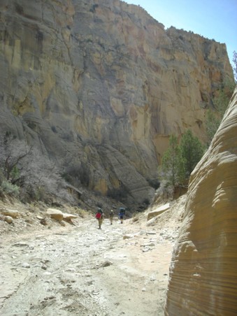 Enlarge photo 176