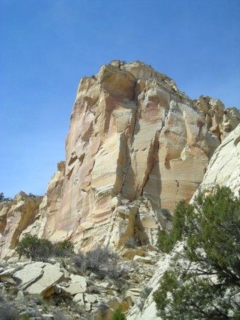 Enlarge photo 178