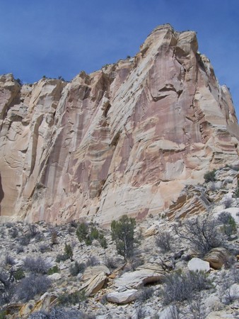 Enlarge photo 179