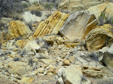 Enlarge photo 181
