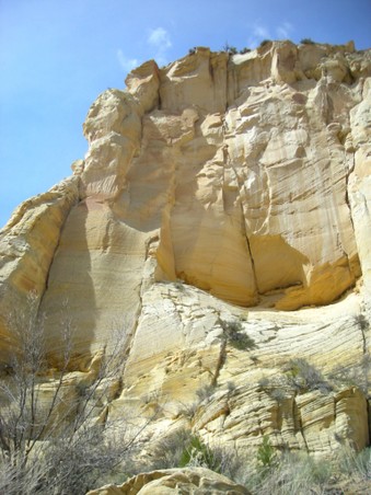 Enlarge photo 183