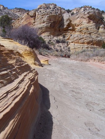 Enlarge photo 185