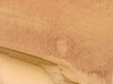 Enlarge photo 196