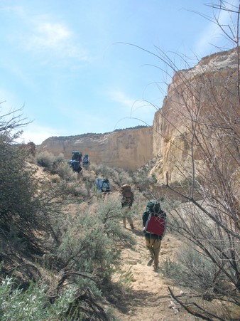 Enlarge photo 204
