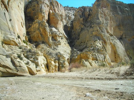 Enlarge photo 209