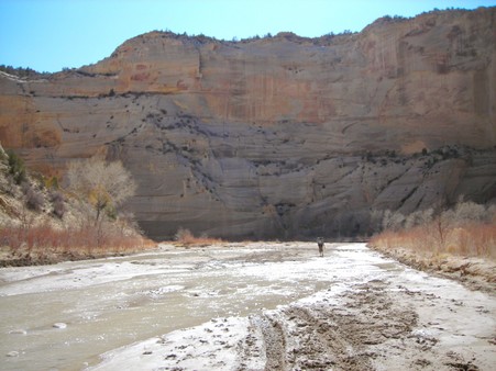 Enlarge photo 214
