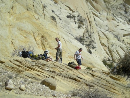 Enlarge photo 215