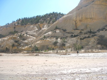 Enlarge photo 221