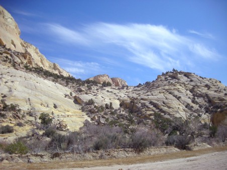 Enlarge photo 226
