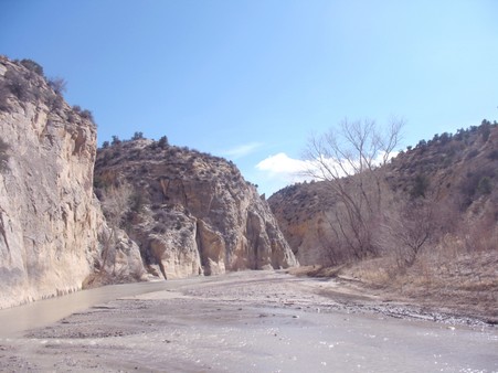 Enlarge photo 229