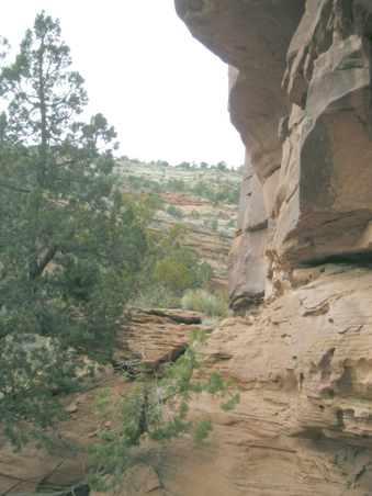 Enlarge photo 43