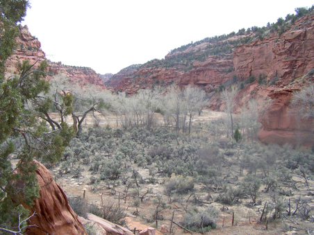 Enlarge photo 44