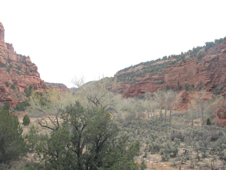 Enlarge photo 45