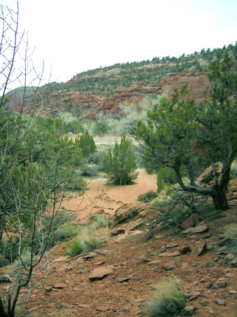 Enlarge photo 46