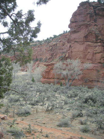 Enlarge photo 47