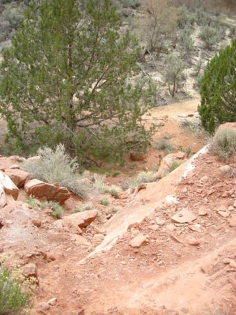 Enlarge photo 49