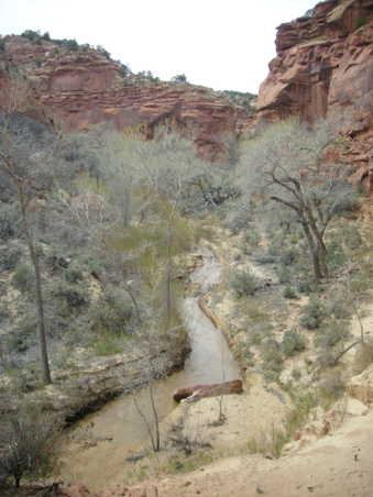 Enlarge photo 79