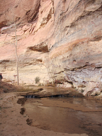 Enlarge photo 80