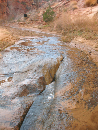 Enlarge photo 89
