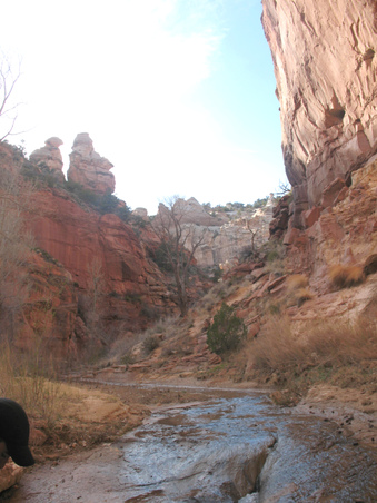 Enlarge photo 91