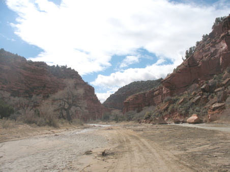 Enlarge photo 8